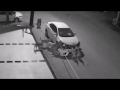 Stray Dogs Destroy Car In Turkey S Sakarya
