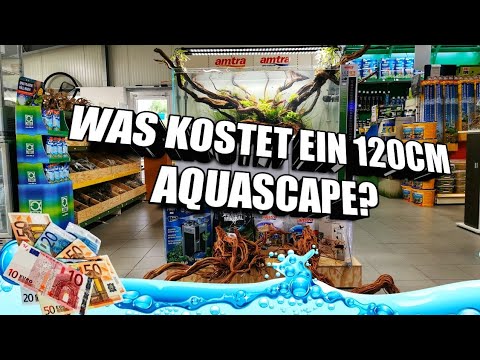 Was kostet das 270l Aquascape Aquarium / Was braucht man alles dafür?