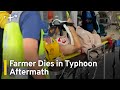 taitung county farmer dies in typhoon aftermath｜taiwanplus news