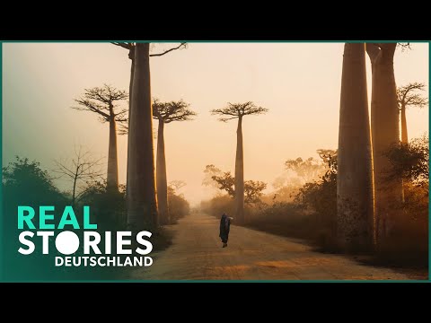 Doku: Faszination Madagaskar | Die Wilde Westküste | Real Stories Deutschland