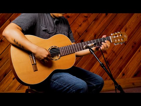 Ortega R131 Family Series Pro Solid Cedar Top Mahogany Neck Nylon 6-String Classical Acoustic Guitar w/Gig Bag image 25