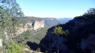Blue Mountains Walks: Explorers Tree to Bonnie Doon Katoomba NSW Australia