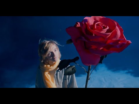 LE CHANT DE L'INFINI - Stephen Sicard (Logos)