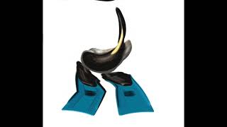 Cover art for DUCK SPINS AGAIN