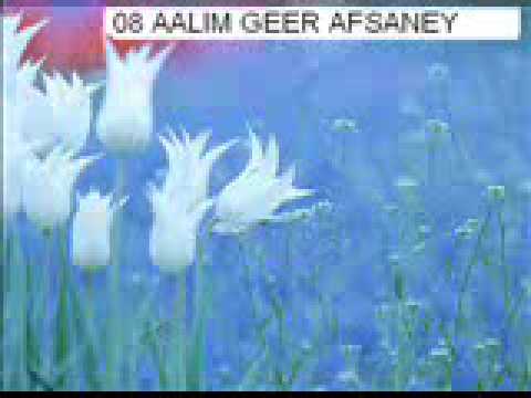 08 AALIM GEER AFSANEY_chunk_10
