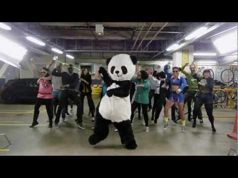 Gangnam Style Panda - PSY Gangnam Parody