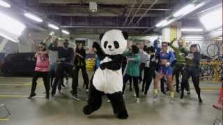Gangnam Style Panda - PSY Gangnam Parody