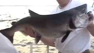 preview picture of video 'Fishing Lake Michigan off Kewaunee, WI ~ July 2005'