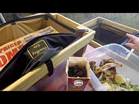 Spray-down results checked in nightcrawler VermiBags when feeding - vermicomposting