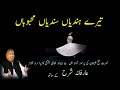 Tere Hundia Sundia Mehbooba NFAK Sufiana Kalam Shaoor E Bedar