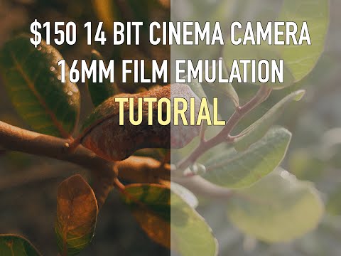 $150 14 BIT CINEMA CAMERA 16MM FILM EMULATION TUTORIAL | CANON EOS M RAW MAGIC LANTERN | ARRI ALEXA