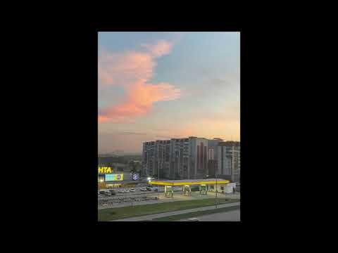 outby16 - house of flies