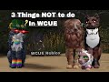 3 Thing you should NEVER do in WCUE | WCUE Roblox | Part Two