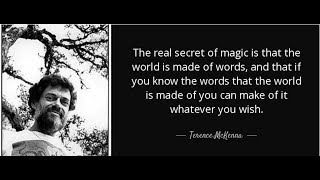 CAN LANGUAGE SHAPE REALITY?