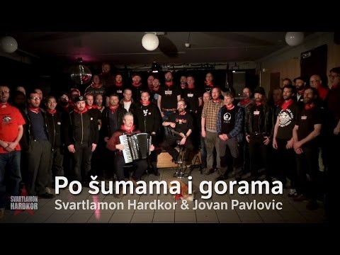 Jovan Pavlovic and Svartlamon Hardkor -Po šumama i gorama