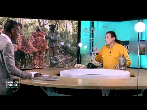 comment soigner les yeux d'une tortue terrestre