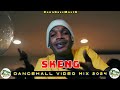 Skeng Mix 2024 Raw | Skeng Video Mix 2024 | Skeng Mixtape 2024 | Don Gas Music