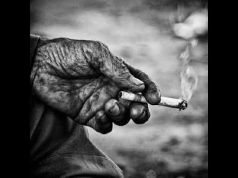 Jani Kovačič - Matilda