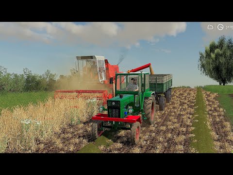 Băgăm Bizonul la treierat