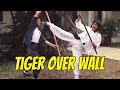 Wu Tang Collection Tiger Over Wall Mandarin With English Subs
