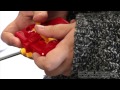 Vidéo