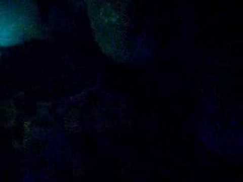 Guidos Bubble Club, Kanarische Inseln / Teneriffa,Spanien