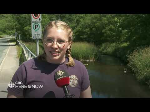 Here & Now Friday, July 15, 2022