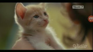 Download lagu Iklan Susu Dancow - Ya Boleh (2018) mp3 Download lagu Iklan Susu Dancow - Ya Boleh (2018) mp3