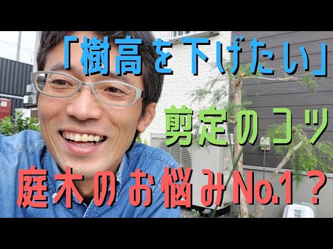 木の剪定に関する10のヒント トピックス