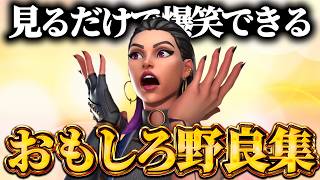 【総集編】見るだけで笑えるおもしろ野良集【VALORANT】