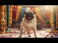 Pug Dance Cute Dog Dancing At Indian Wedding Festive Vibe Funny Dog Video