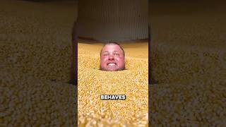 How to Survive Falling into a Grain Silo