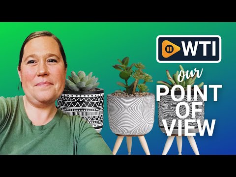 TERESA'S COLLECTIONS Artificial Plants - WTI product video review