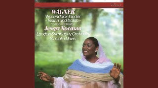 Wagner: Tristan und Isolde, WWV 90 / Act 3 - "Mild und leise wie er lächelt" (Isoldes Liebestod)