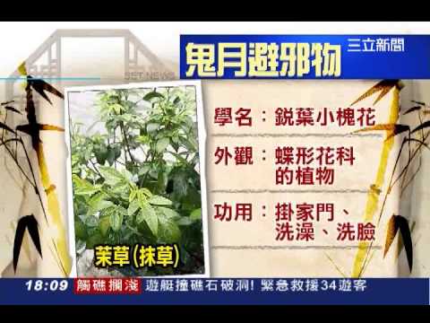 避邪植物