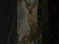 I Manoharudu Movie Poolane KunukeyamantaaSong WhatsApp Status Lyrics Trending Love Youtube Viral