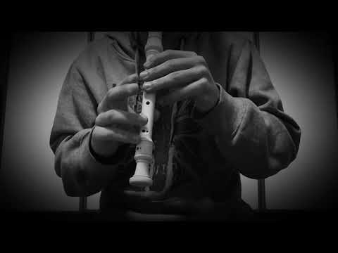 Camila Cabello - Havana recorder cover.