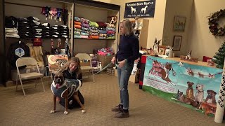 Adopt A Boxer Rescue celebrating 20 years