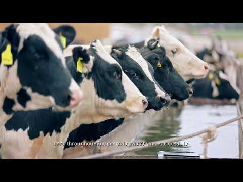 Cleaner Water. More Productive Animals.