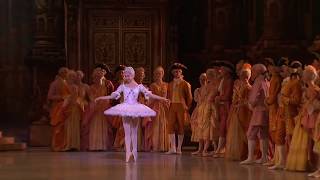 TOP 15 BALLET DANCERS