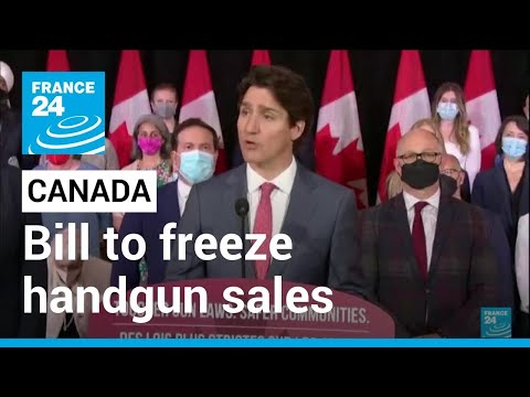 Canada introduces bill to freeze handgun sales • FRANCE 24 English