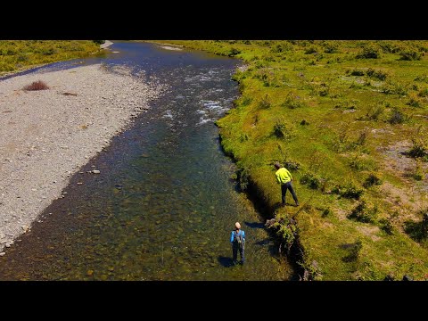 Beyond the Water Temperature: Observing Trout Condition & Behavior & Environmental Conditions