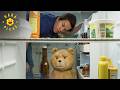 Ted Is A Menace To Society Ted 2
