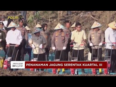 PRESISI UPDATE: PENANAMAN JAGUNG SERENTAK KUARTAL III 09/07/2025 14.00 (2/2)