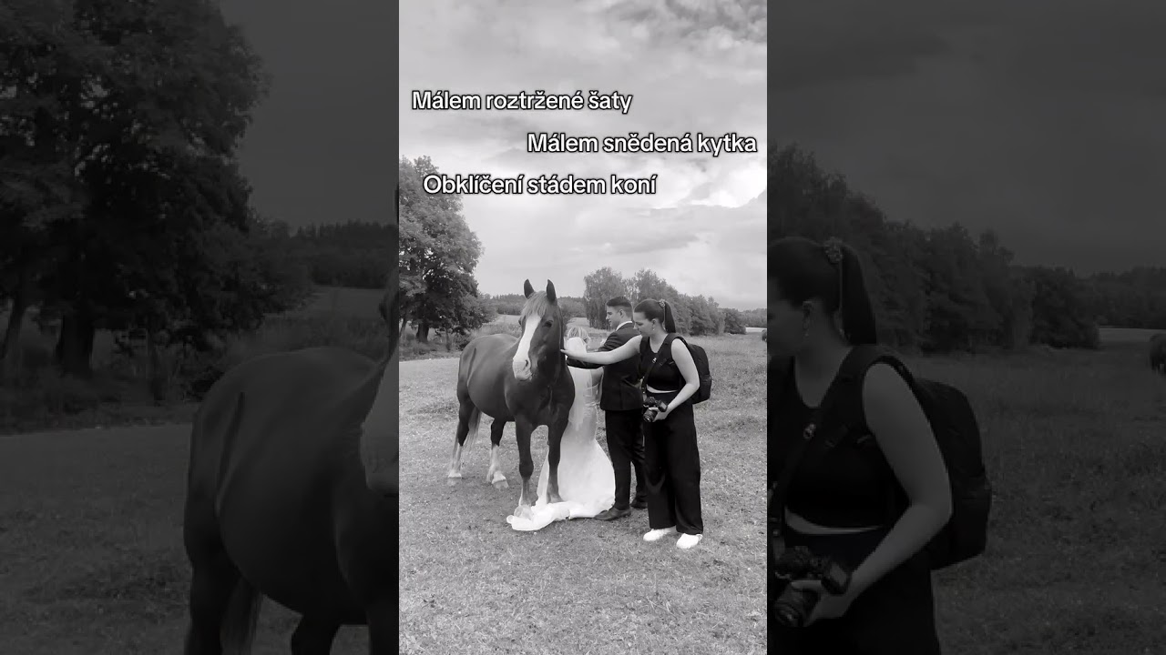 Wedding Reel 03