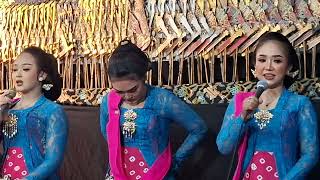 Download lagu Iringan Wayang Kulit, Ladrang Eling-Eling mp3 Download lagu Iringan Wayang Kulit, Ladrang Eling-Eling mp3