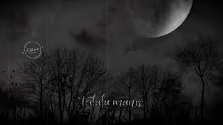 Download lagu Status WA | terlalu manis-Slank mp3