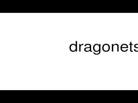 How to pronounce dragonets