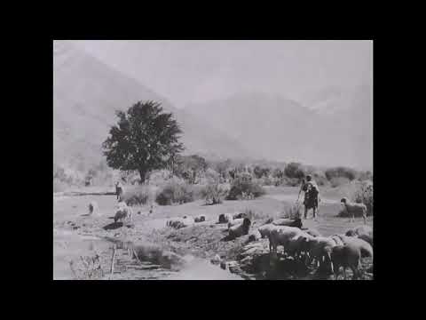 Cholhama Roshe Roshe Walo Myaane Poshe Madno Cholhama