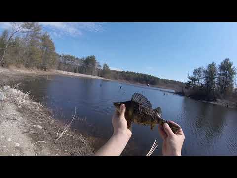 Middle Pond Massasoit State Park Lakeville, MA